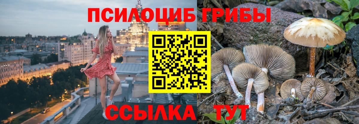 Зеленодольск  Псилоцибиновые грибы MAGIC MUSHROOMS  купить наркотик  Вход с VPN 